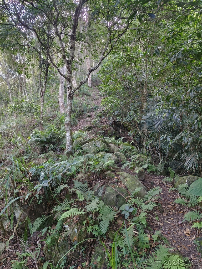 新竹五峰 の 鬼澤山 & 鬼澤山西峰  ~泰雅族的聖山~
