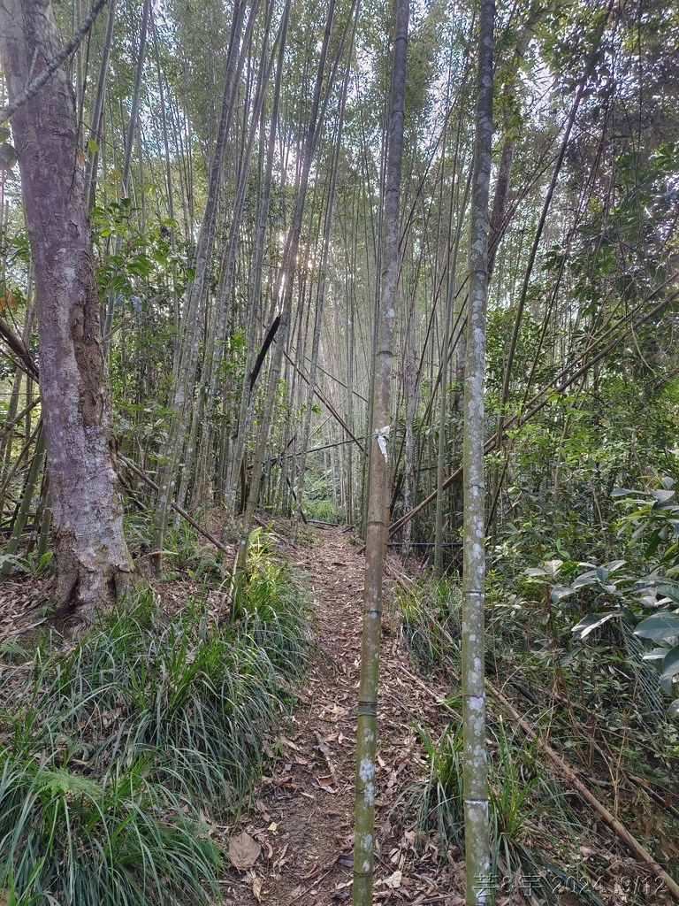 新竹五峰 の 鬼澤山 & 鬼澤山西峰  ~泰雅族的聖山~