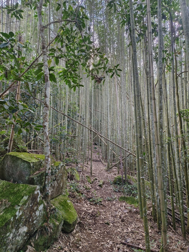 新竹五峰 の 鬼澤山 & 鬼澤山西峰  ~泰雅族的聖山~