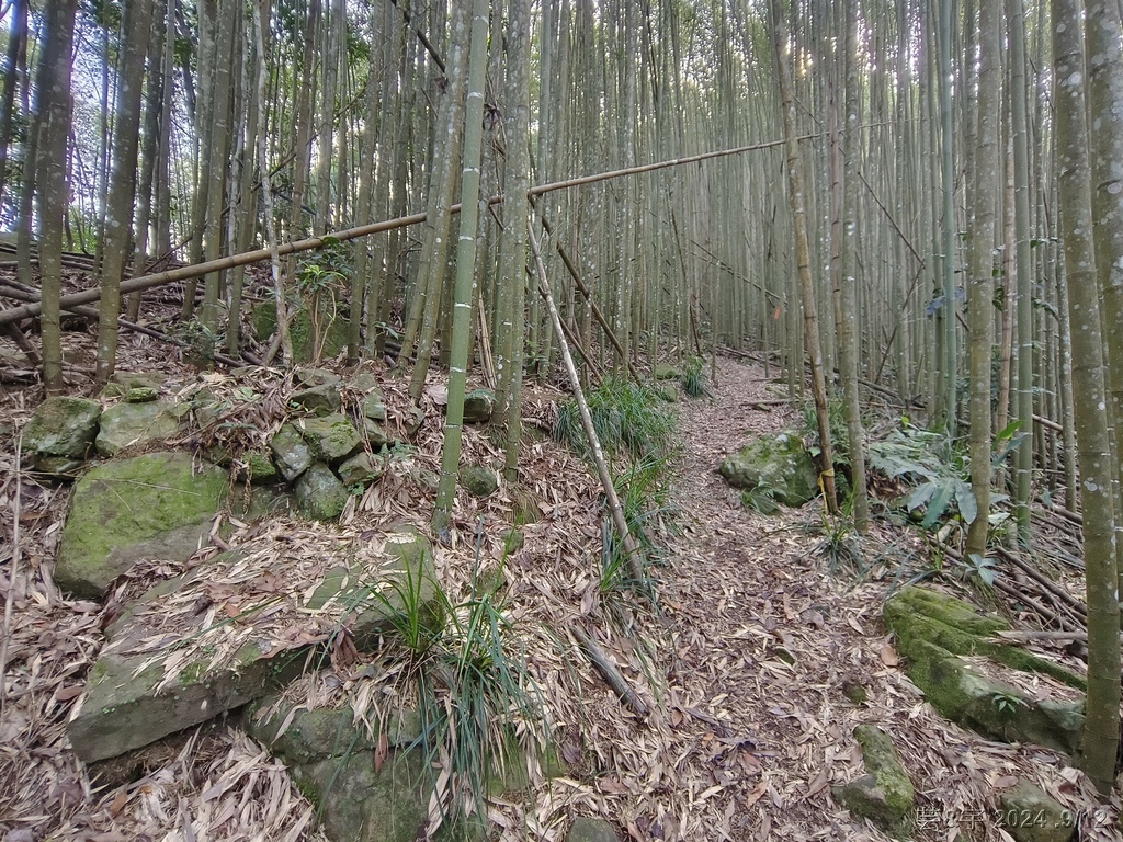 新竹五峰 の 鬼澤山 & 鬼澤山西峰  ~泰雅族的聖山~