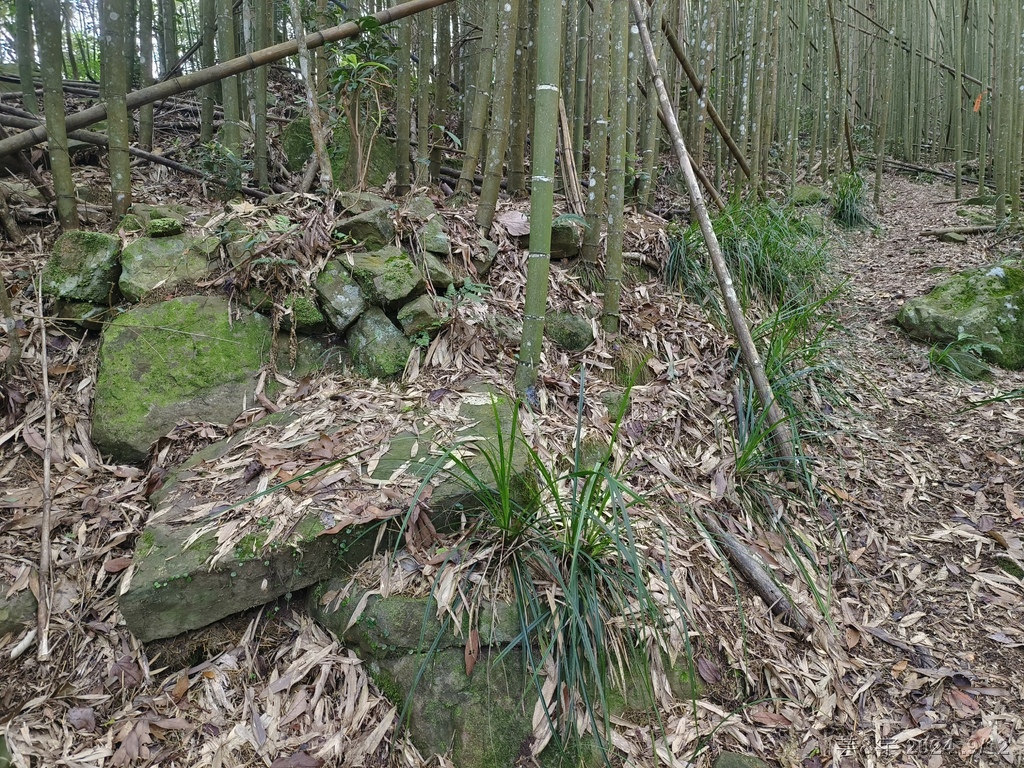 新竹五峰 の 鬼澤山 & 鬼澤山西峰  ~泰雅族的聖山~