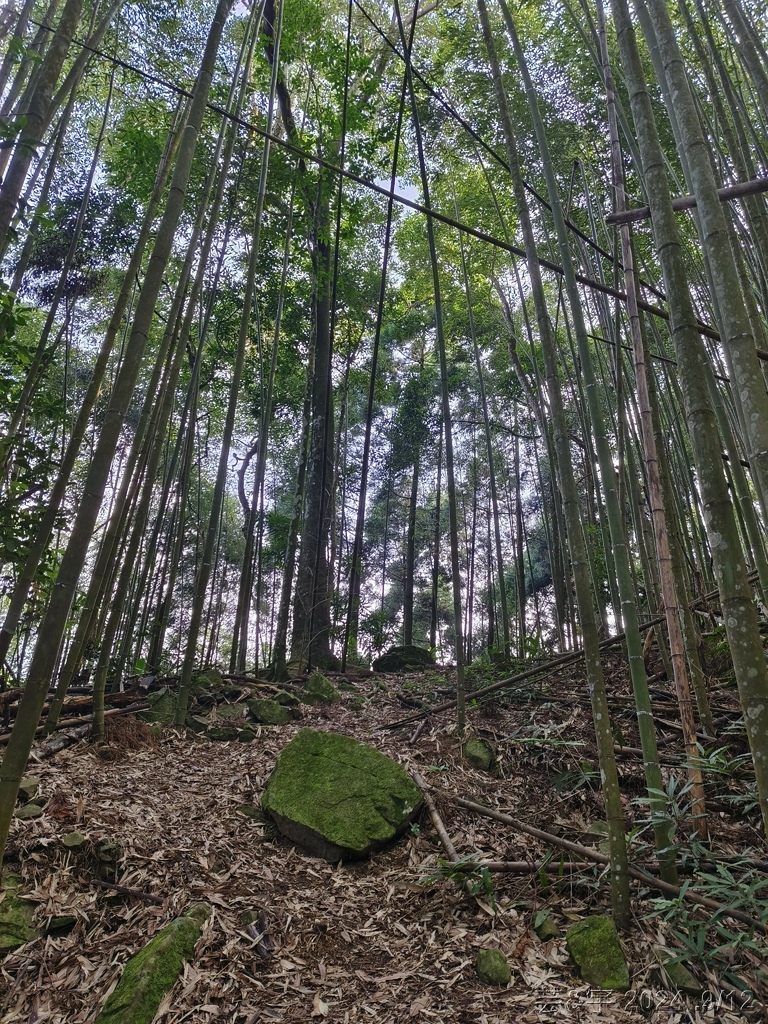 新竹五峰 の 鬼澤山 & 鬼澤山西峰  ~泰雅族的聖山~