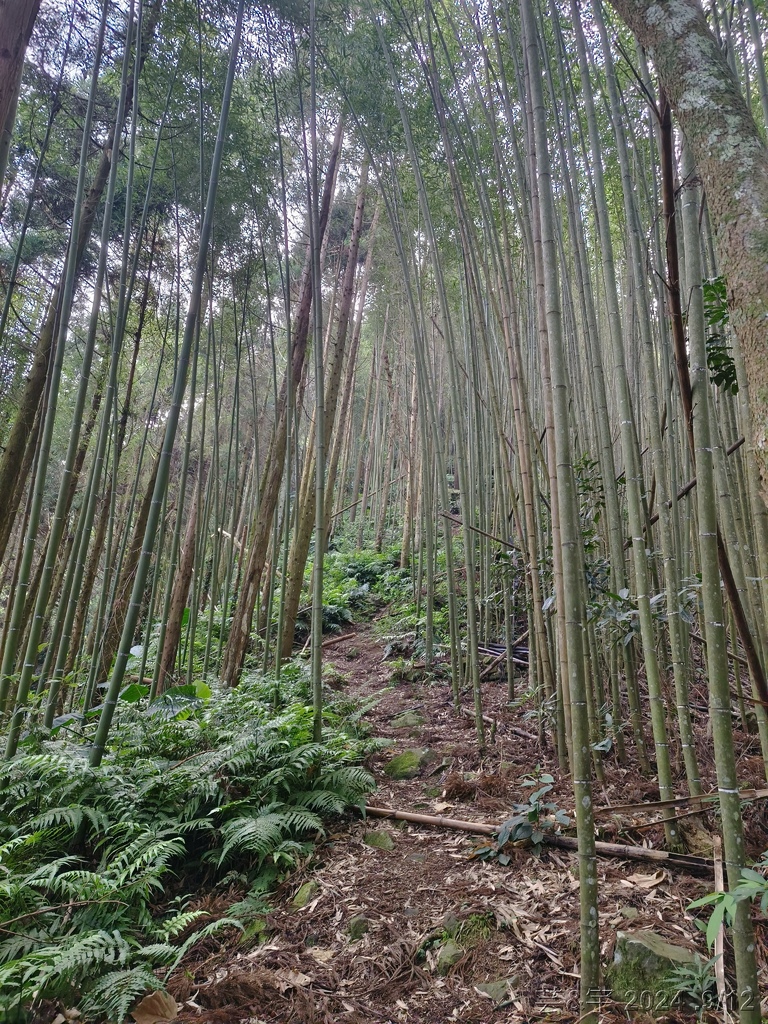 新竹五峰 の 鬼澤山 & 鬼澤山西峰  ~泰雅族的聖山~