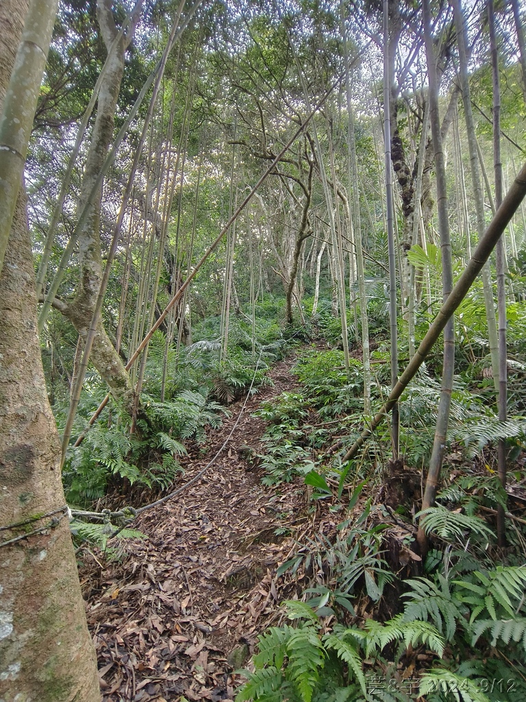 新竹五峰 の 鬼澤山 & 鬼澤山西峰  ~泰雅族的聖山~