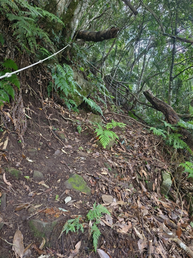 新竹五峰 の 鬼澤山 & 鬼澤山西峰  ~泰雅族的聖山~
