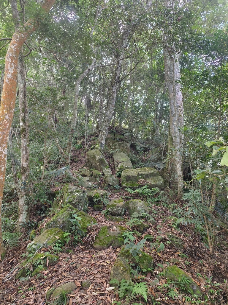 新竹五峰 の 鬼澤山 & 鬼澤山西峰  ~泰雅族的聖山~