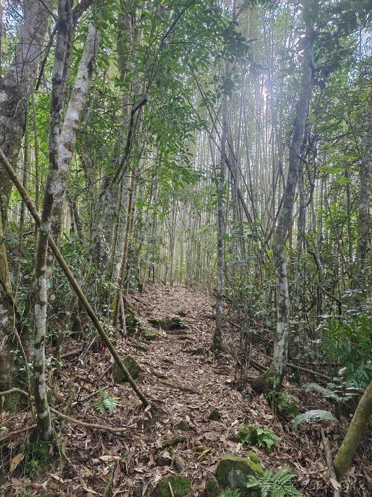 新竹五峰 の 鬼澤山 & 鬼澤山西峰  ~泰雅族的聖山~
