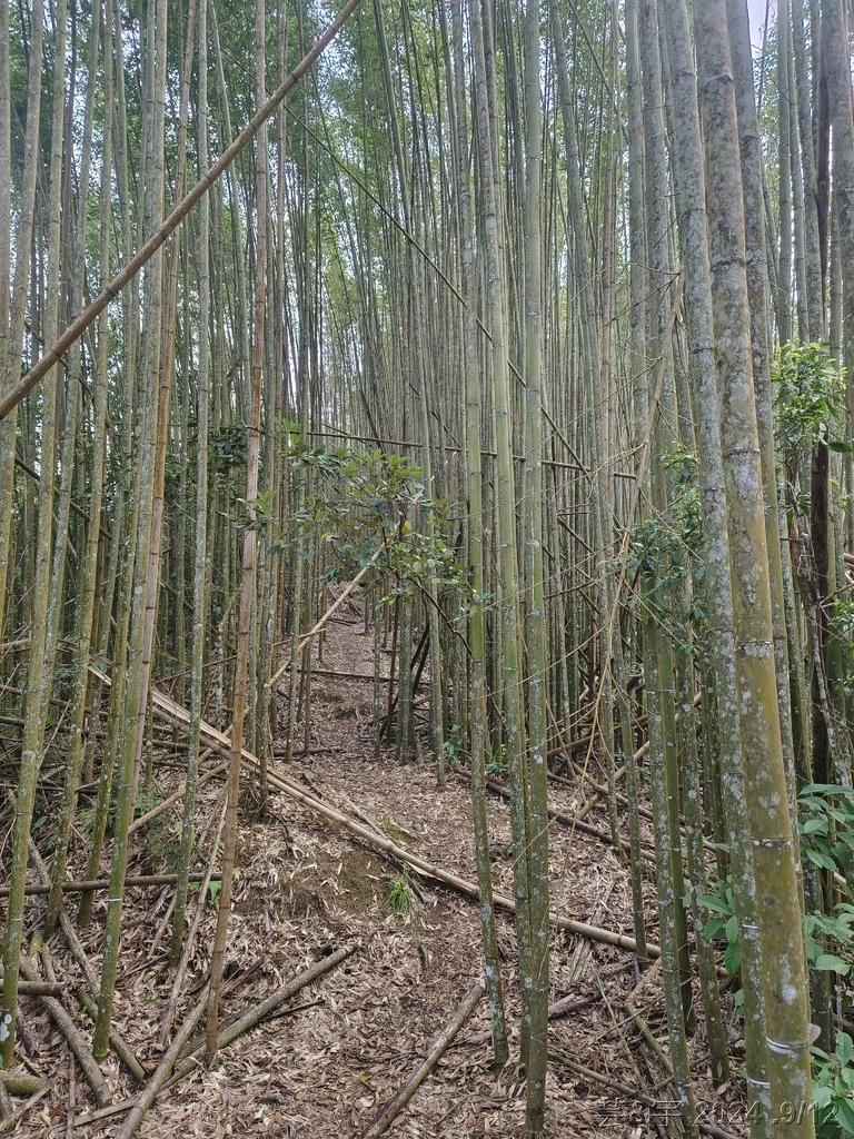新竹五峰 の 鬼澤山 & 鬼澤山西峰  ~泰雅族的聖山~