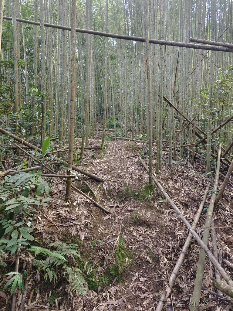 新竹五峰 の 鬼澤山 & 鬼澤山西峰  ~泰雅族的聖山~
