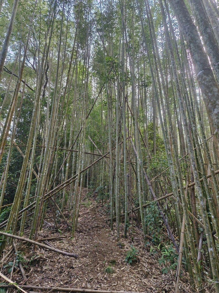 新竹五峰 の 鬼澤山 & 鬼澤山西峰  ~泰雅族的聖山~