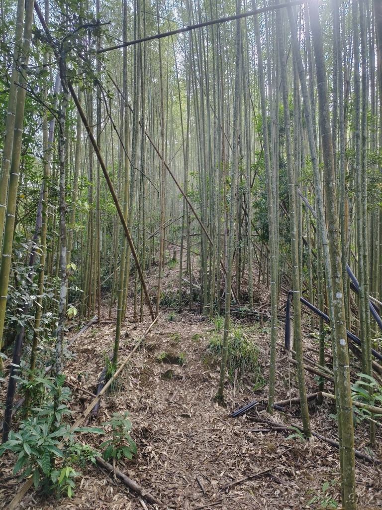 新竹五峰 の 鬼澤山 & 鬼澤山西峰  ~泰雅族的聖山~