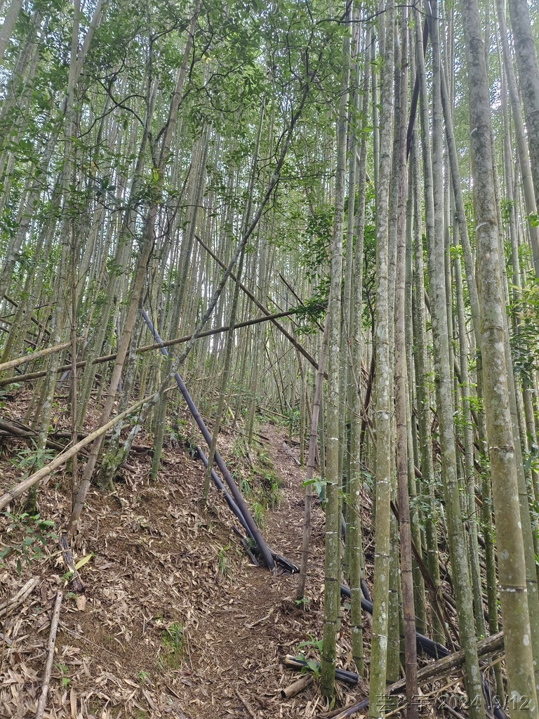 新竹五峰 の 鬼澤山 & 鬼澤山西峰  ~泰雅族的聖山~