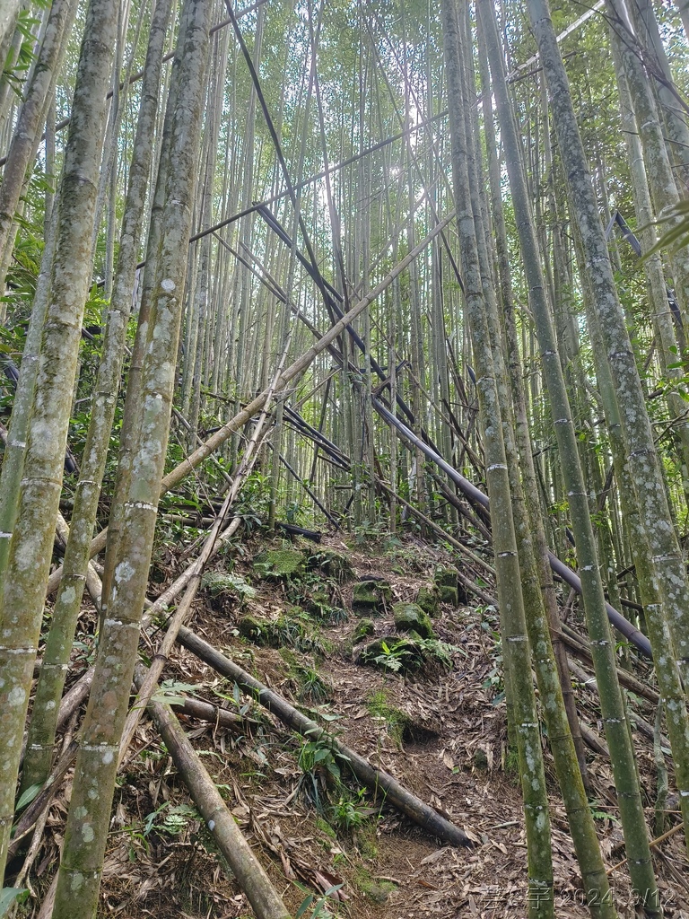 新竹五峰 の 鬼澤山 & 鬼澤山西峰  ~泰雅族的聖山~