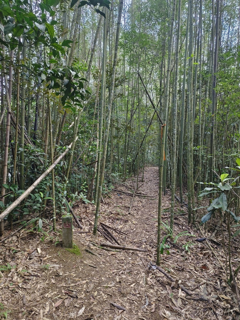新竹五峰 の 鬼澤山 & 鬼澤山西峰  ~泰雅族的聖山~