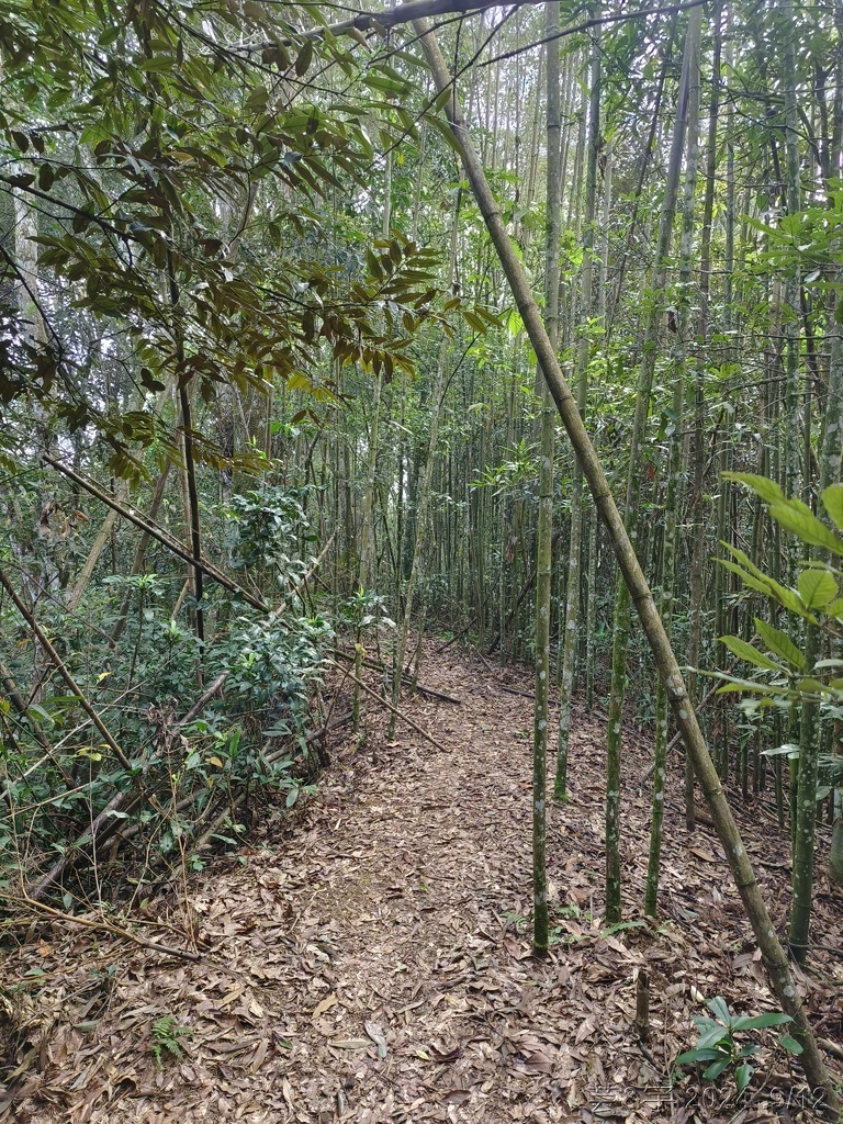 新竹五峰 の 鬼澤山 & 鬼澤山西峰  ~泰雅族的聖山~