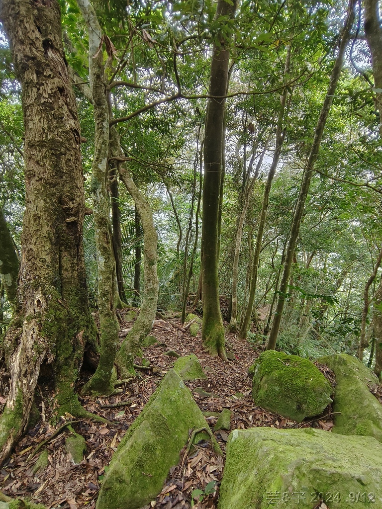 新竹五峰 の 鬼澤山 & 鬼澤山西峰  ~泰雅族的聖山~