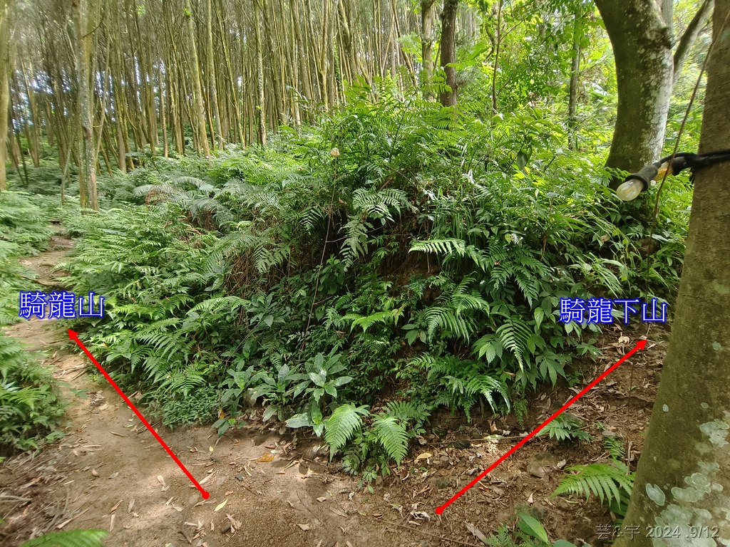 新竹五峰 の 鬼澤山 & 鬼澤山西峰  ~泰雅族的聖山~