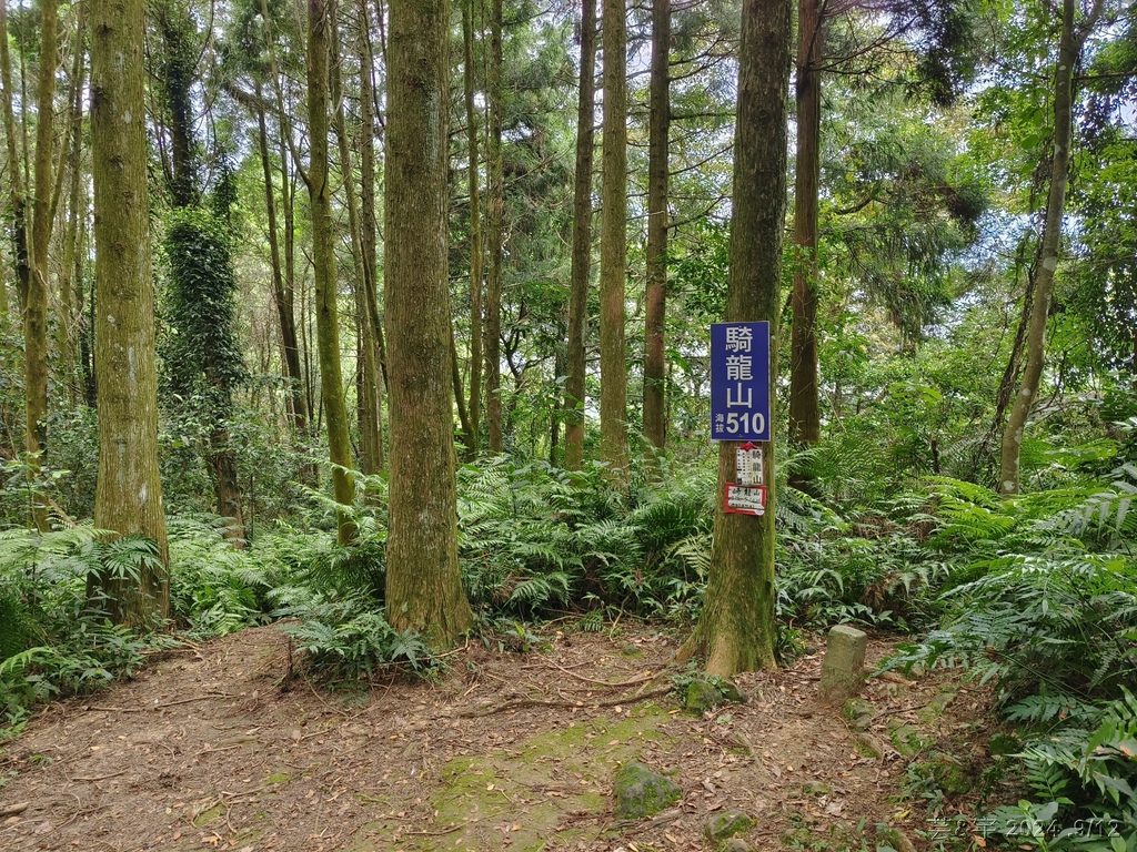新竹五峰 の 鬼澤山 & 鬼澤山西峰  ~泰雅族的聖山~