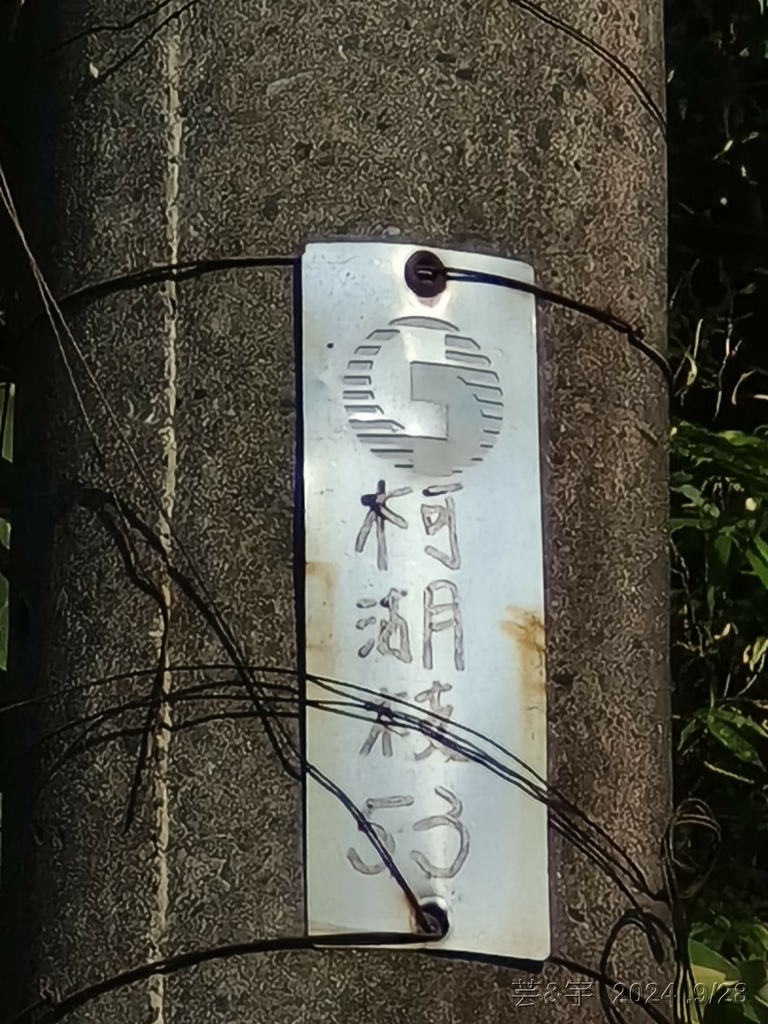 新竹竹東.寶山 の 柯子湖山古道 & 柯子湖山