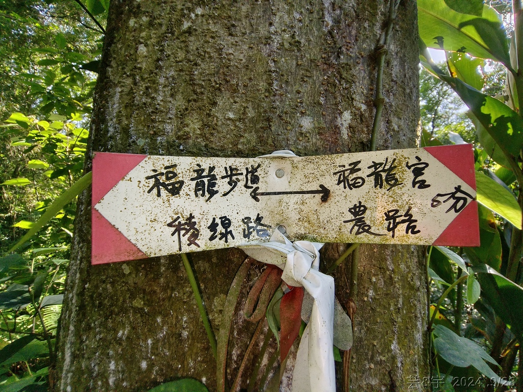 新竹竹東.寶山 の 柯子湖山古道 & 柯子湖山