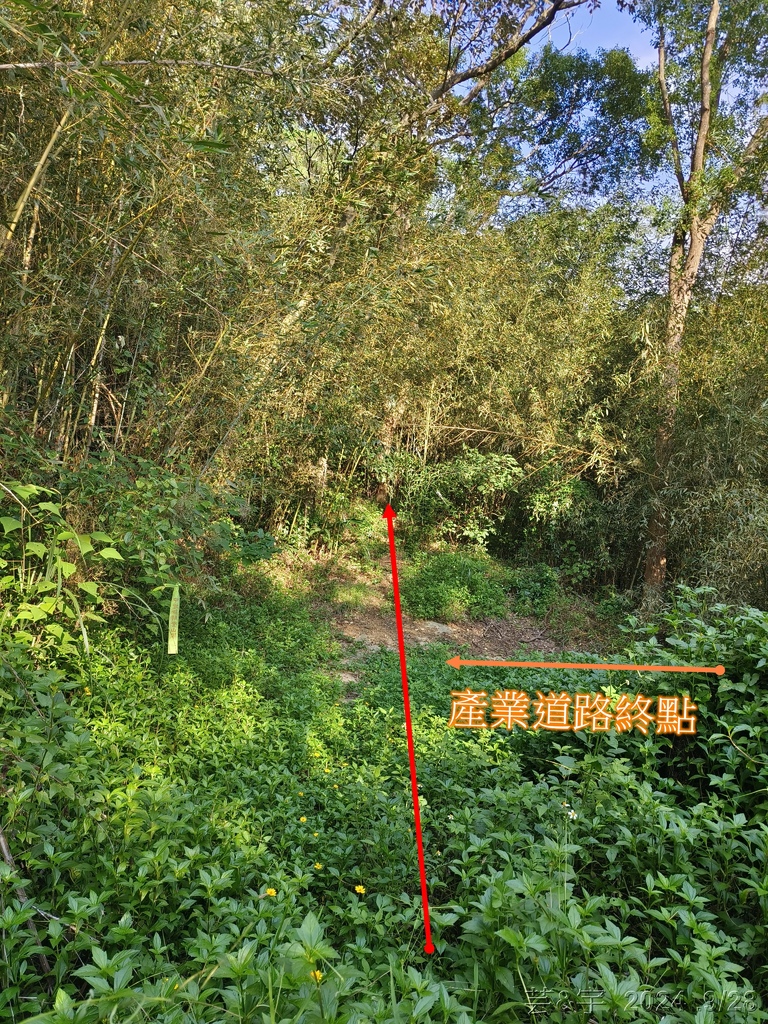 新竹竹東.寶山 の 柯子湖山古道 & 柯子湖山
