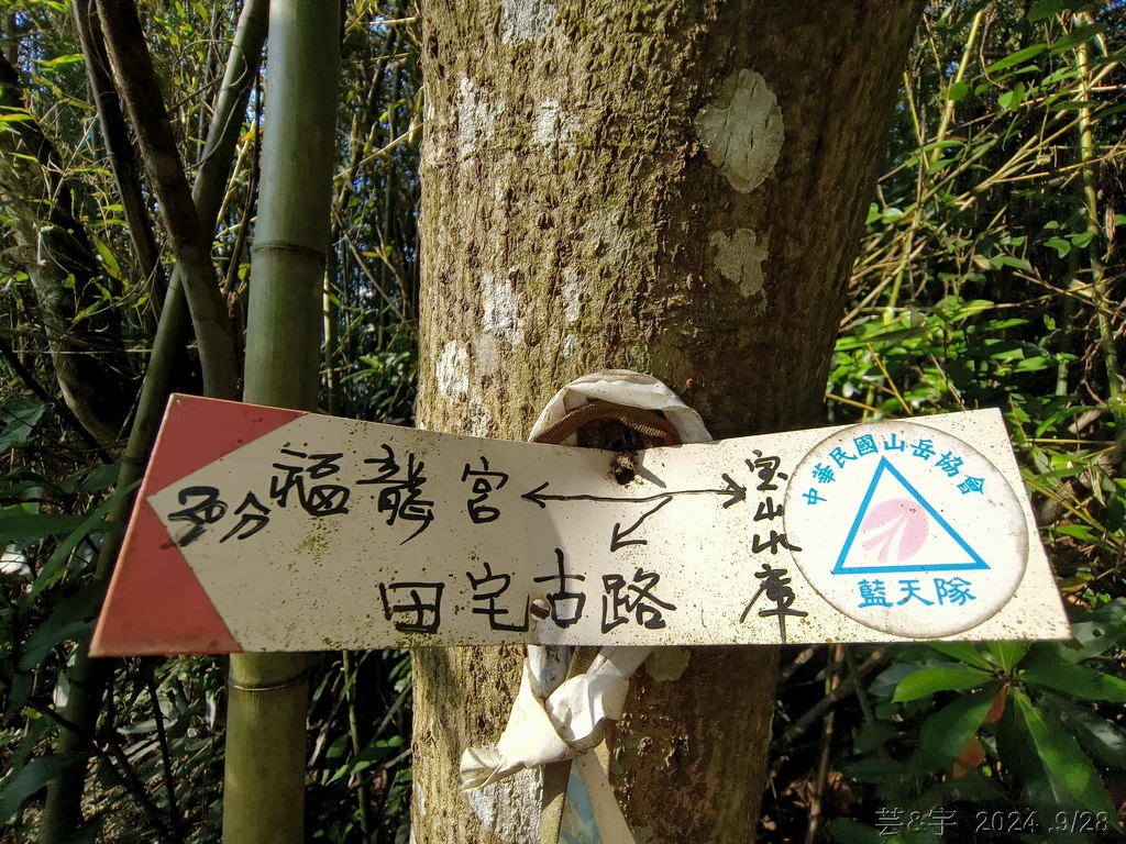新竹竹東.寶山 の 柯子湖山古道 & 柯子湖山