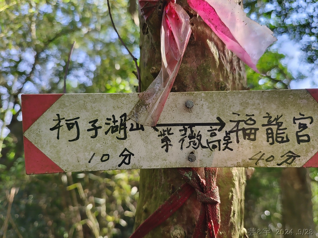 新竹竹東.寶山 の 柯子湖山古道 & 柯子湖山