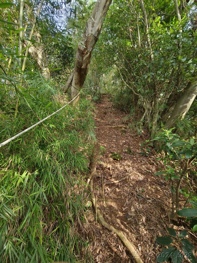 新竹竹東.寶山 の 柯子湖山古道 & 柯子湖山