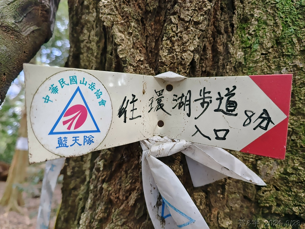 新竹竹東.寶山 の 柯子湖山古道 & 柯子湖山