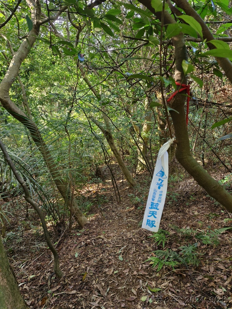 新竹竹東.寶山 の 柯子湖山古道 & 柯子湖山