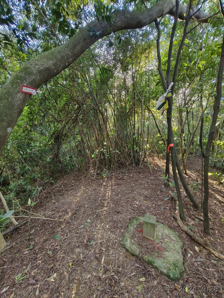 新竹竹東.寶山 の 柯子湖山古道 & 柯子湖山