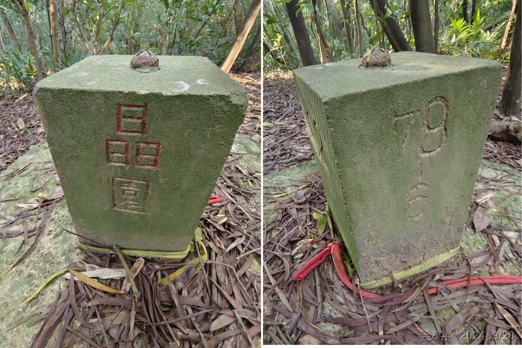 新竹竹東.寶山 の 柯子湖山古道 & 柯子湖山