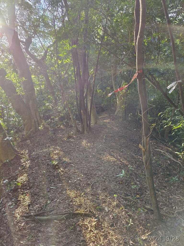 新竹竹東.寶山 の 柯子湖山古道 & 柯子湖山