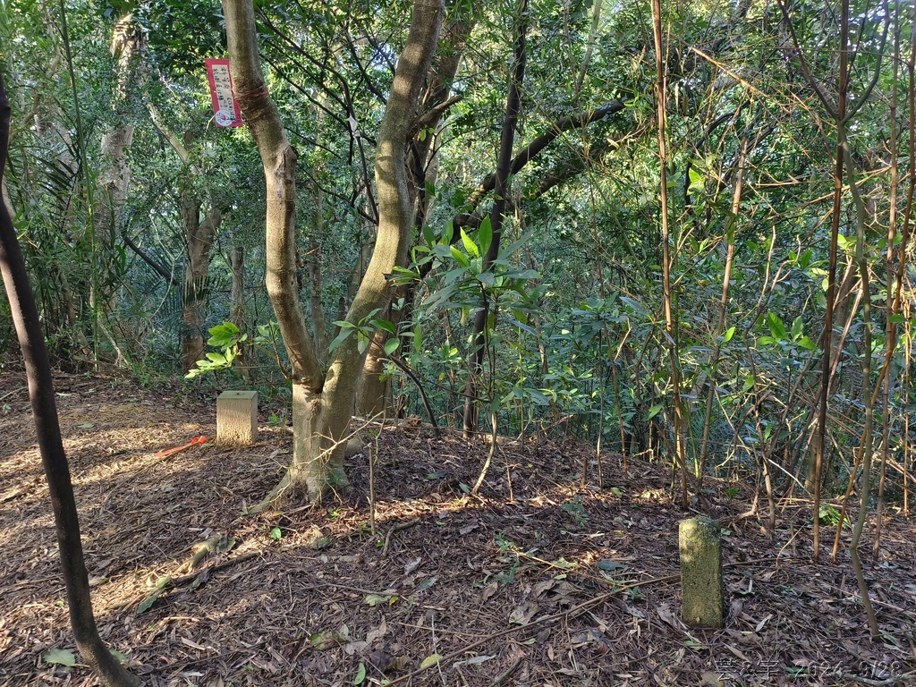 新竹竹東.寶山 の 柯子湖山古道 & 柯子湖山