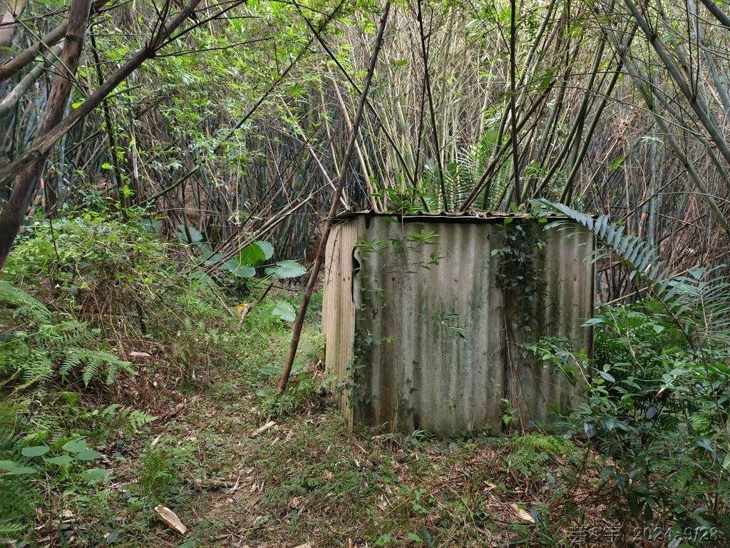 新竹竹東.寶山 の 柯子湖山古道 & 柯子湖山