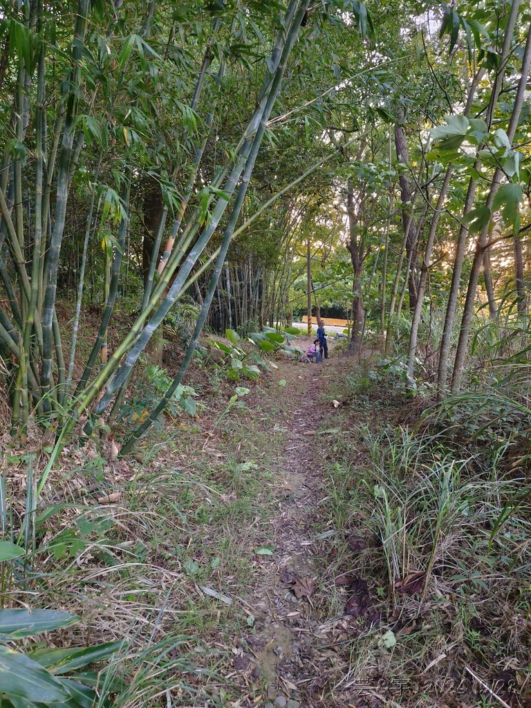 新竹竹東.寶山 の 柯子湖山古道 & 柯子湖山