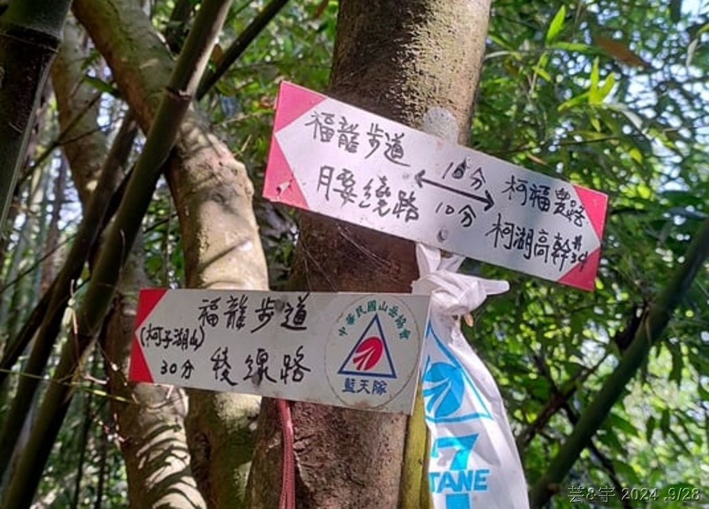 補充.jpg