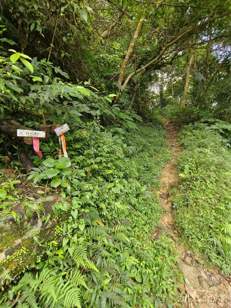 新竹橫山 の 尖石岩 & 內灣山 & 內灣老街粉圓豆花創始店