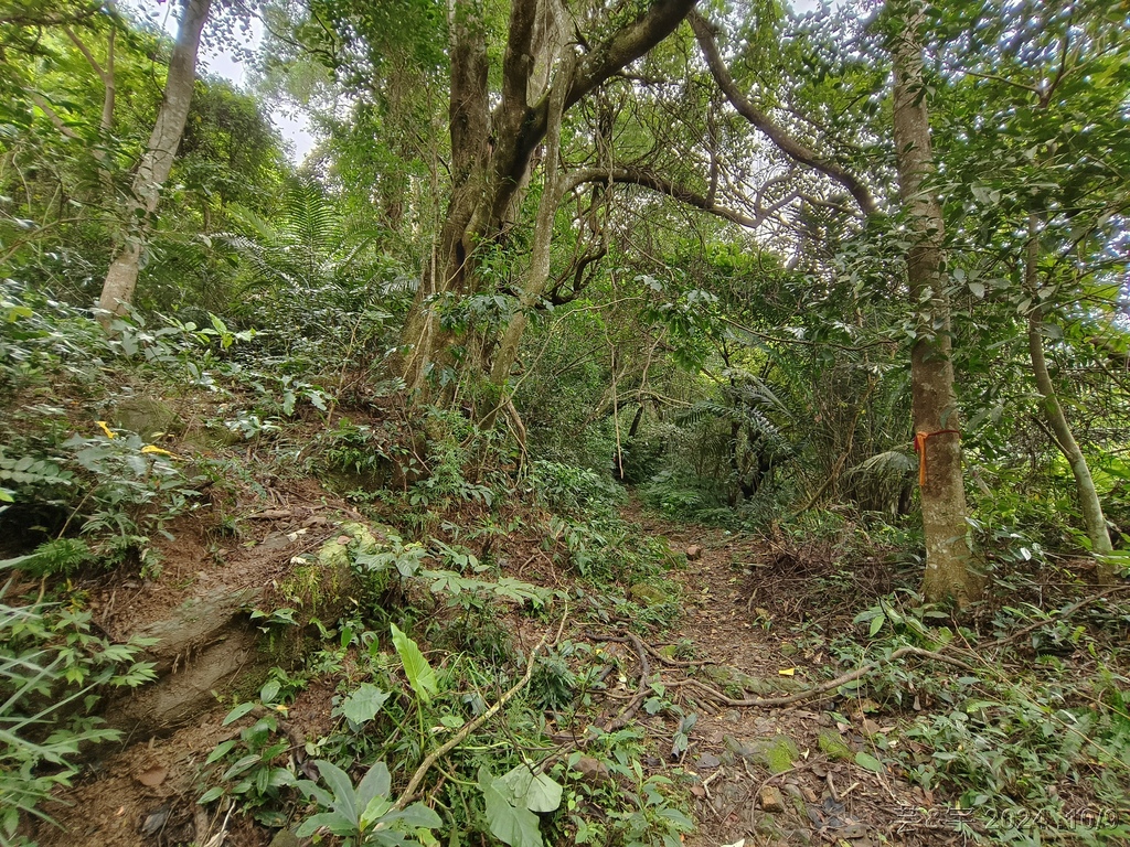 新竹橫山 の 尖石岩 & 內灣山 & 內灣老街粉圓豆花創始店