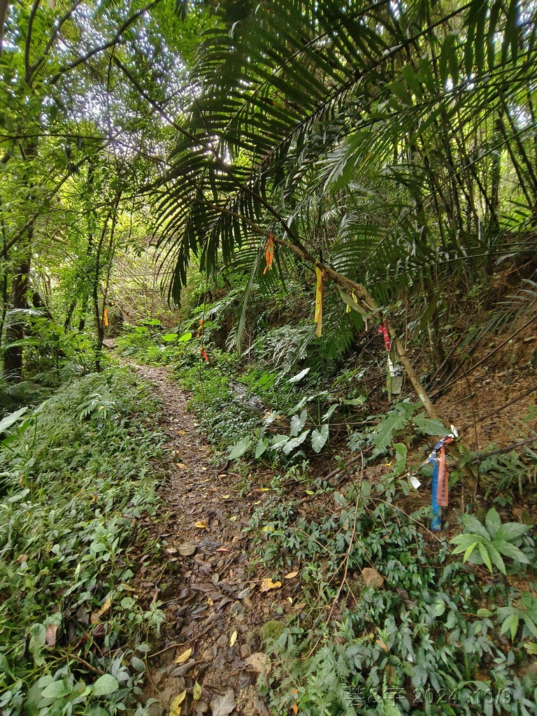 新竹橫山 の 尖石岩 & 內灣山 & 內灣老街粉圓豆花創始店