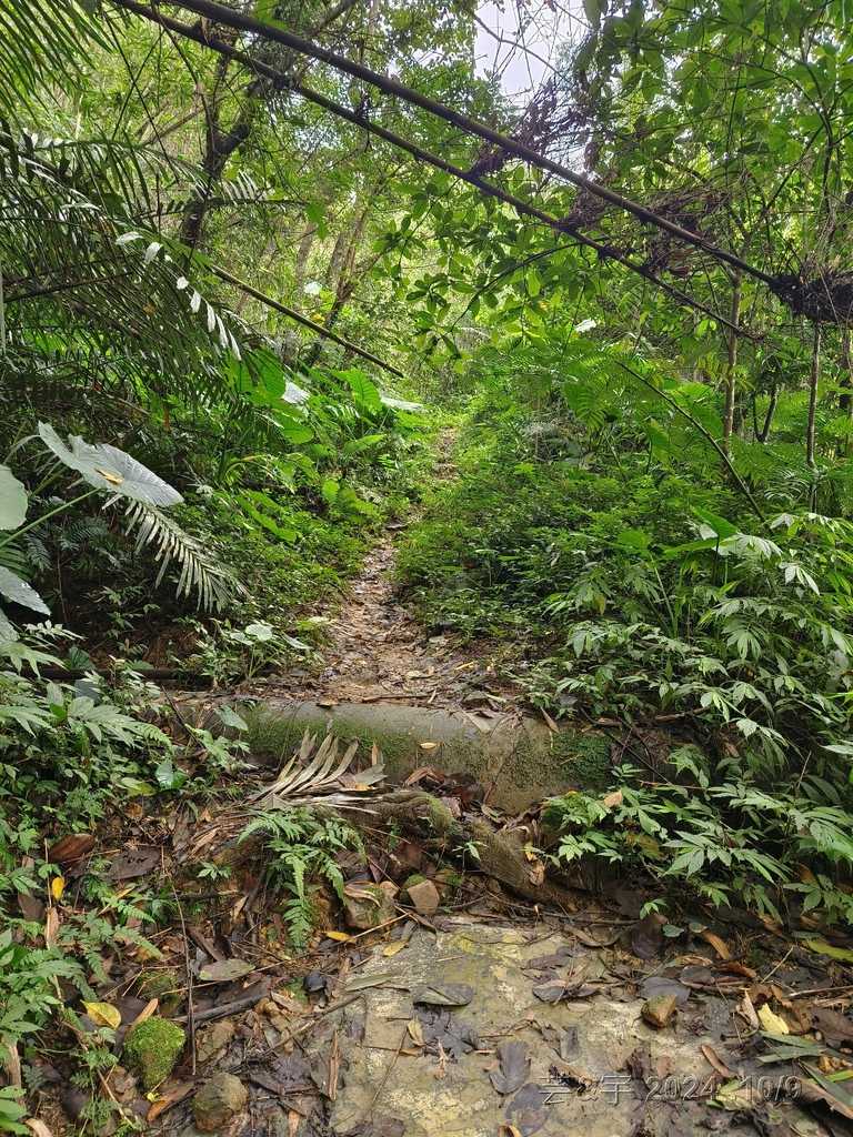 新竹橫山 の 尖石岩 & 內灣山 & 內灣老街粉圓豆花創始店