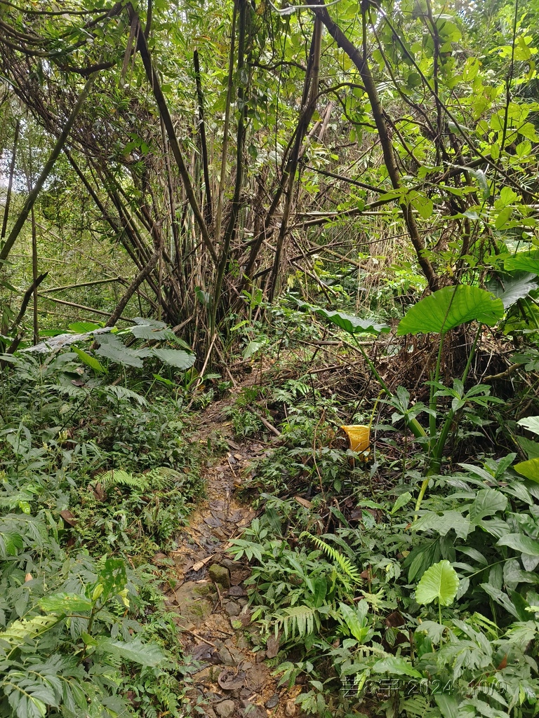 新竹橫山 の 尖石岩 & 內灣山 & 內灣老街粉圓豆花創始店