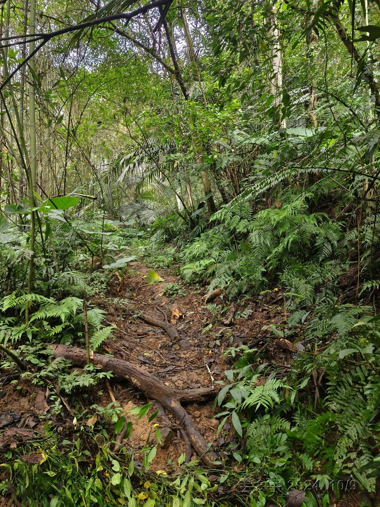 新竹橫山 の 尖石岩 & 內灣山 & 內灣老街粉圓豆花創始店