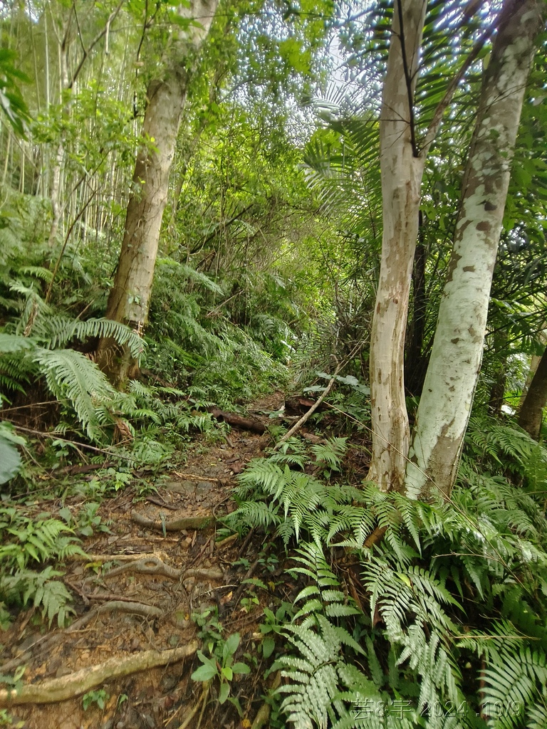 新竹橫山 の 尖石岩 & 內灣山 & 內灣老街粉圓豆花創始店