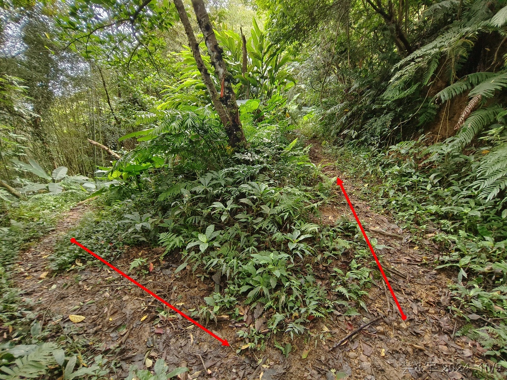 新竹橫山 の 尖石岩 & 內灣山 & 內灣老街粉圓豆花創始店