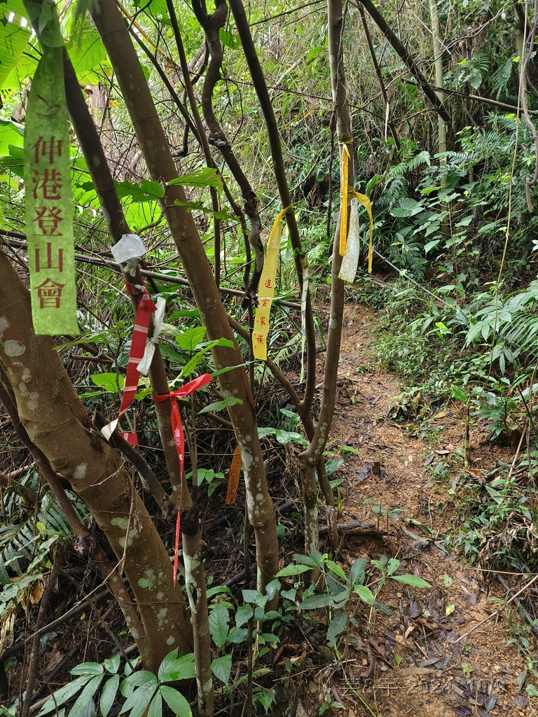 新竹橫山 の 尖石岩 & 內灣山 & 內灣老街粉圓豆花創始店