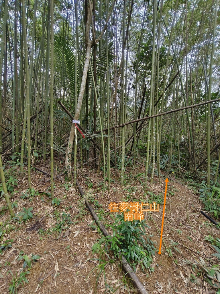 新竹橫山 の 尖石岩 & 內灣山 & 內灣老街粉圓豆花創始店
