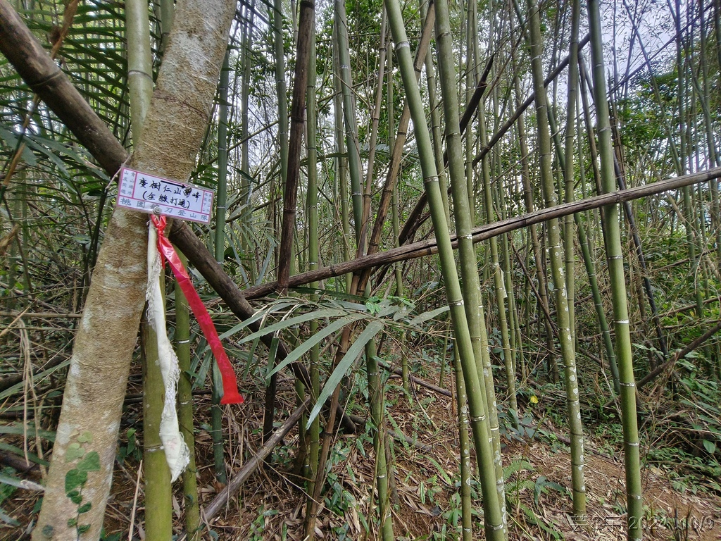 新竹橫山 の 尖石岩 & 內灣山 & 內灣老街粉圓豆花創始店