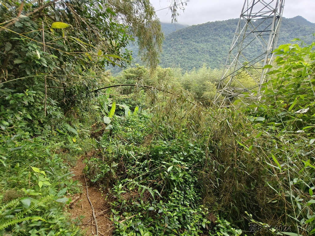 新竹橫山 の 尖石岩 & 內灣山 & 內灣老街粉圓豆花創始店