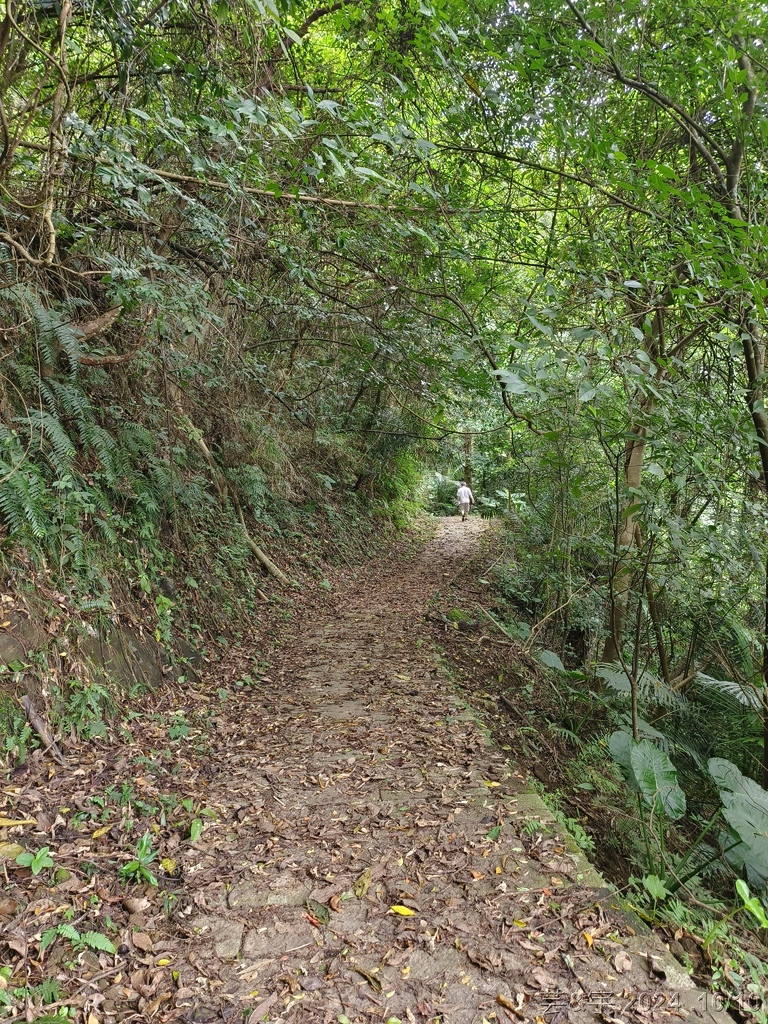 新竹北埔 の 老頭擺客家菜 & 大分林山 & 北埔冷泉